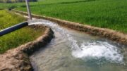 زمانبندی همکاری مشترکین چاه های کشاورزی شهرستان راور در گذر از پیک مصرف برق تابستان ۱۴۰۲