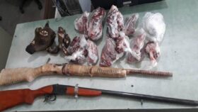 دستگیری شکارچیان متواری در راور با دو قبضه سلاح غیرمجاز و اجزای یک راس کل وحشی