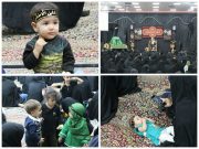 گزارش تصویری(۱)/همایش شیرخوارگان حسینی در راور (٢۵ عکس)