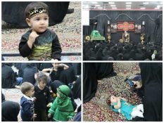 گزارش تصویری(۱)/همایش شیرخوارگان حسینی در راور (٢۵ عکس)