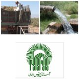 سهم مردم راور از آب و باغات وسیع پسته آستان قدس چیست!؟