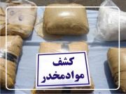کشف ۱٣۰ کیلوگرم تریاک در راور+جزئیات