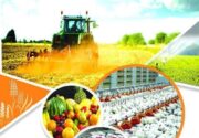 به مناسبت دهه فجر بهره برداری از ۶ طرح کشاورزی در شهرستان راور