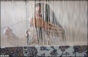 آغاز بیمه رایگان قالیبافان استان کرمان