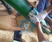بالابر آسیاب مرغداری در روستای گوهجر راور، دست پسر بچه ۱۰ساله را چرخ کرد+تصاویر