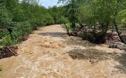 خسارت ٣۵ میلیارد تومانی سیل به شهرستان راور