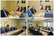 برگزاری دو جشنواره فرش و سرود در راور