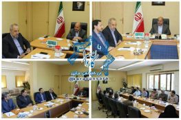 برگزاری دو جشنواره فرش و سرود در راور
