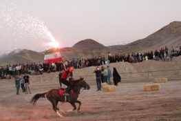 برگزاری اولین جشنواره اسب‌های بومی فلات ایران در شهرستان راور
