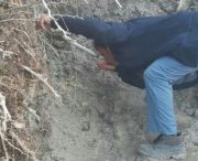 سورپرایز یلدایی بسیج سازندگی راور برای اهالی روستای گساویه بخش کوهساران