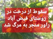 سقوط یک نفر از درخت در روستای فیض آباد راور، منجر به مرگ او شد