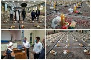 انجام مرحله دوم کمک های مومنانه در شهرستان راور با توزیع ۵۰۰ بسته معیشتی و ۳ هزار پرس غذا در عید غدیر +تصاویر