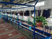 گزارشی از کارگاه بافت قالی آستان قدس رضوی در راور +تصاویر