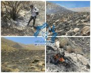 آتش گرفتن بیش از ۱۵ هکتار از مراتع بخش کوهساران راور