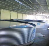 آغاز عملیات ساخت مجتمع پیشرفته پرورش آبزیان گرمابی در راور