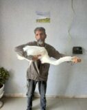 اقدام زیبای شهروند راوری و تحویل یک پرنده‌ی مهاجر به اداره محیط زیست