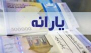 جاماندگان از یارانه نگران نباشند/ دهک‌بندی یارانه بگیران براساس اطلاعات درآمدی بود