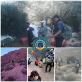 دستگیری یک تیم بهره بردار غیرمجاز آنغوزه در مراتع شهرستان راور