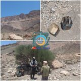 دستگیری یک تیم بهره بردار غیرمجاز آنغوزه شیرین در مراتع شهرستان راور