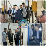 دیدار رئیس سازمان زندان‌های کشور با قالیبافان راور