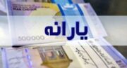 یارانه برخی افراد به‌خاطر مشکل فنی بانک‌ها با تاخیر واریز می‌شود/ یارانه هیچکس حذف نشده است