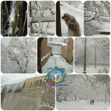 تصاویری از طبیعت برفی زیبای روستای فیض آباد
