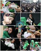 گزارش تصویری همایش شیرخوارگان حسینی در راور