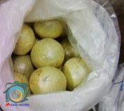 کشف ۶۱ کیلو تریاک و دستگیری یک قاچاقچی در راور