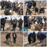 کاشت ۶ هزار نهال در شهرستان راور