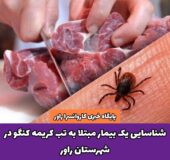 شناسایی یک بیمار مبتلا به تب کریمه کنگو در شهرستان راور