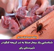 شناسایی یک بیمار مبتلا به تب کریمه کنگو در شهرستان راور