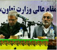 اتمام جاده ترانزیتی کرمان_راور_دیهوک باید در اولویت قرار گیرد/ وضعیت بازنشستگان فولاد و زغالسنگ خوب نیست/ مشکلات بیمه ای بافندگان قالی باید حل شود